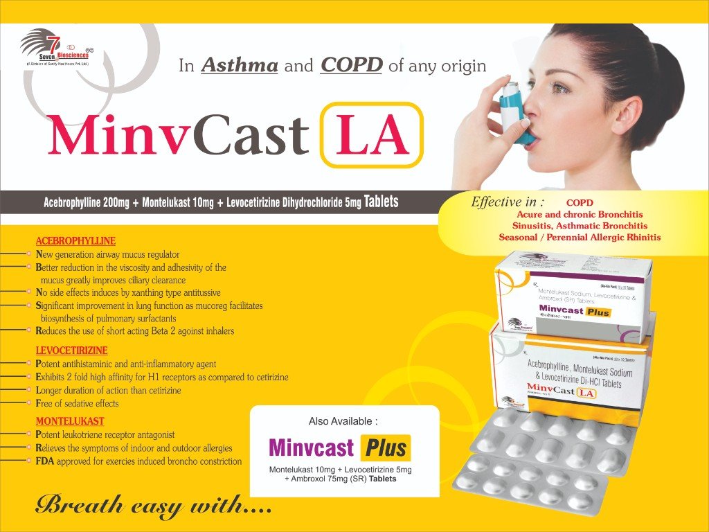 MINVcast-PLUS Visual