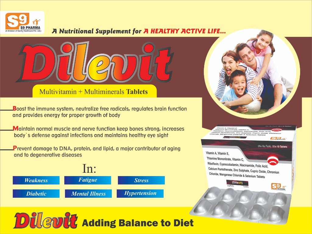 DILEvit Visual