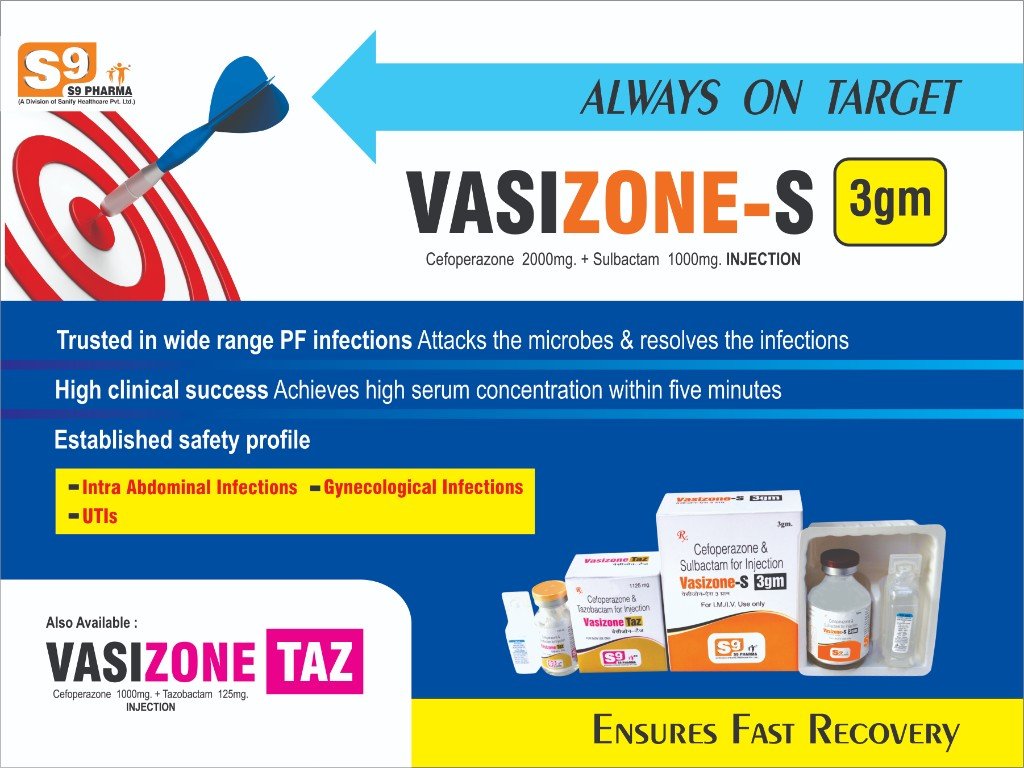 VASIZONE-TAZ Visual