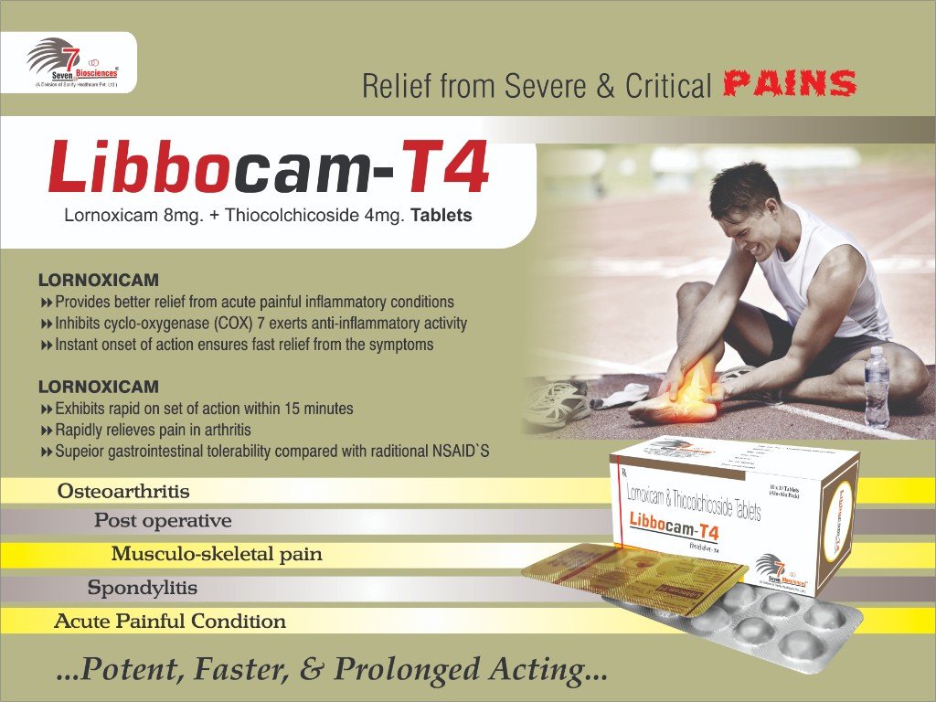 LIBBOcam-T4 Visual