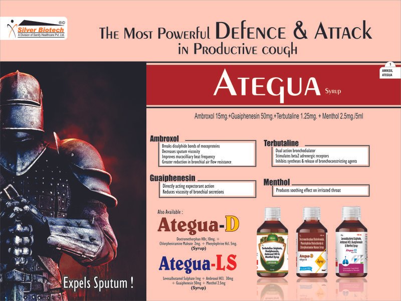 ATEGUA-LS Visual