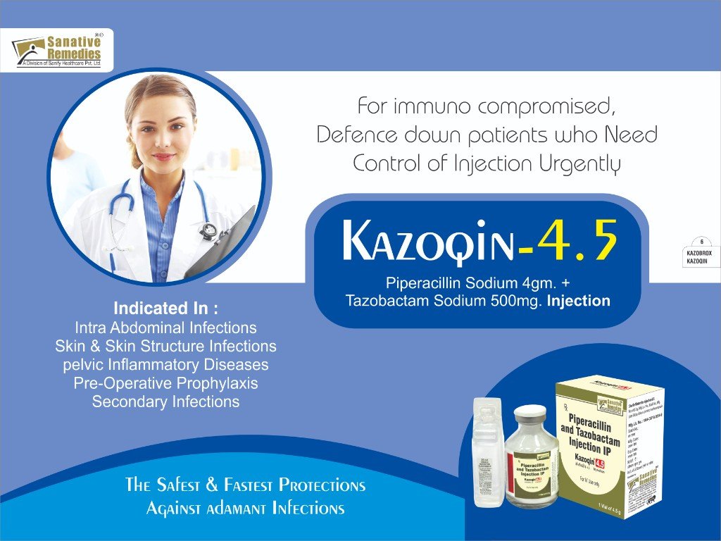 KAZOqin-4.5 Visual