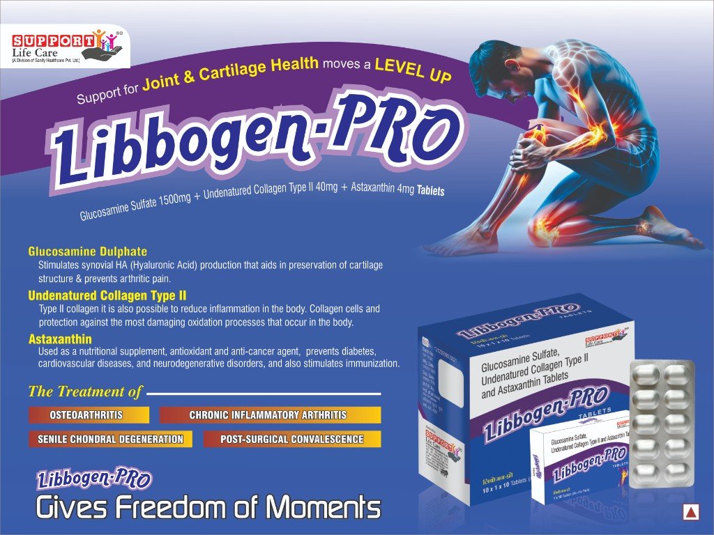 Libbogen-PRO Visual