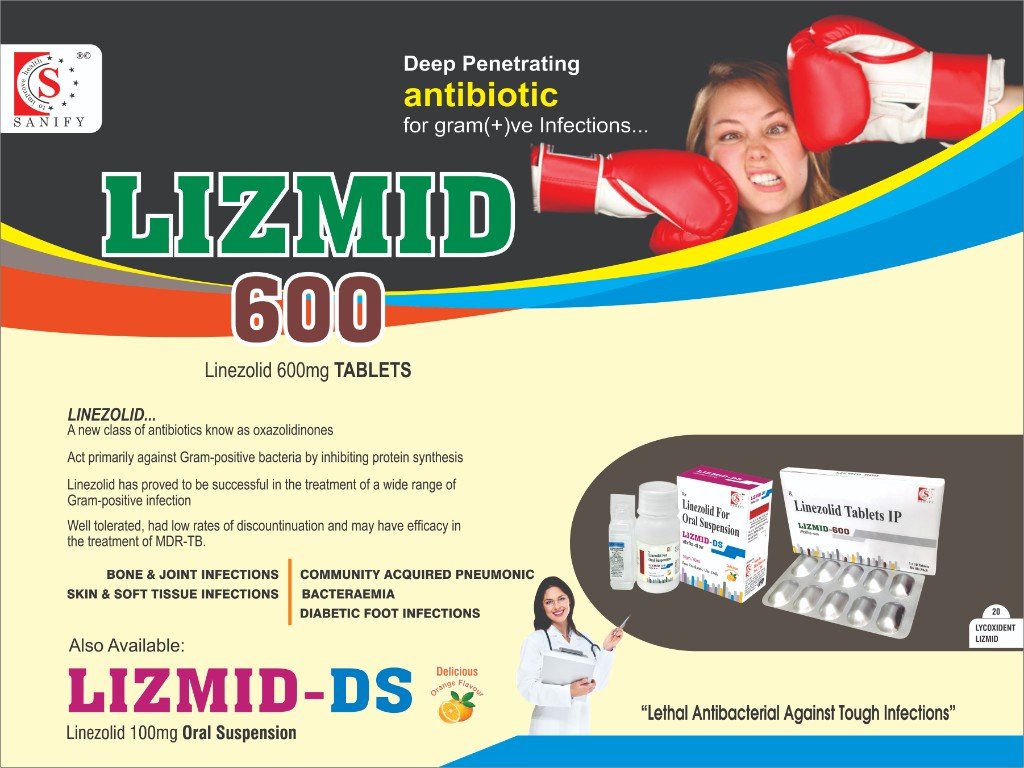 Lizmid-DS Visual