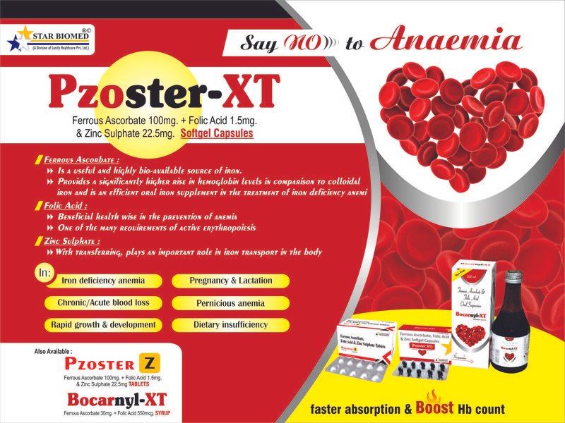 Pzoster-XT Visual