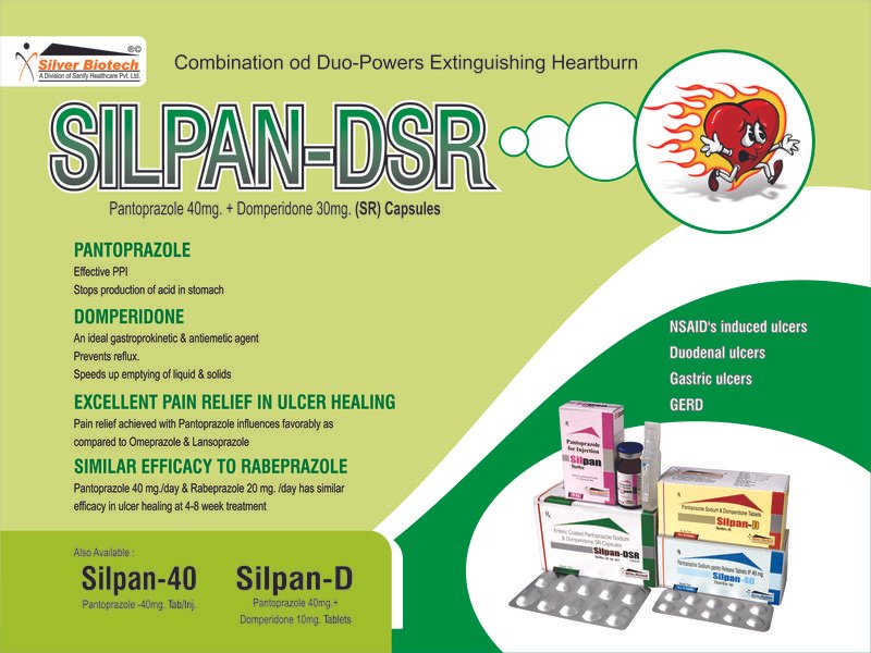 SILpan-DSR Visual