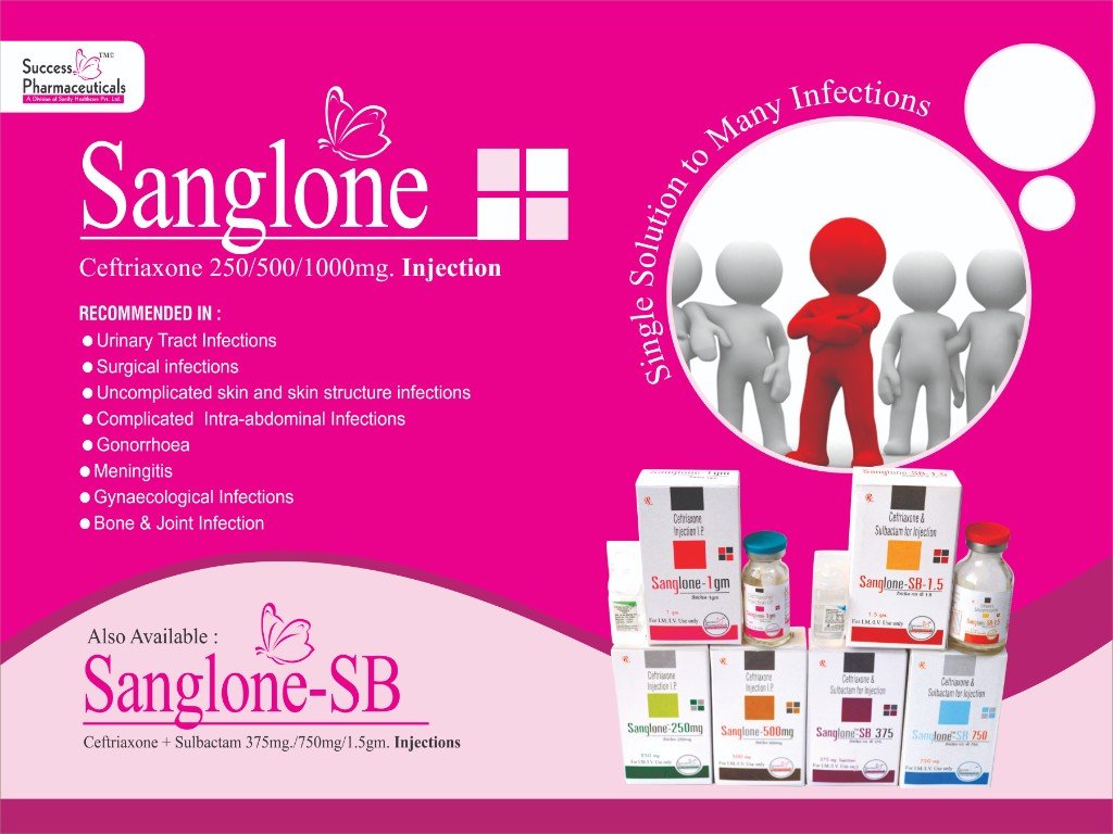 SANGlone-1GM Visual