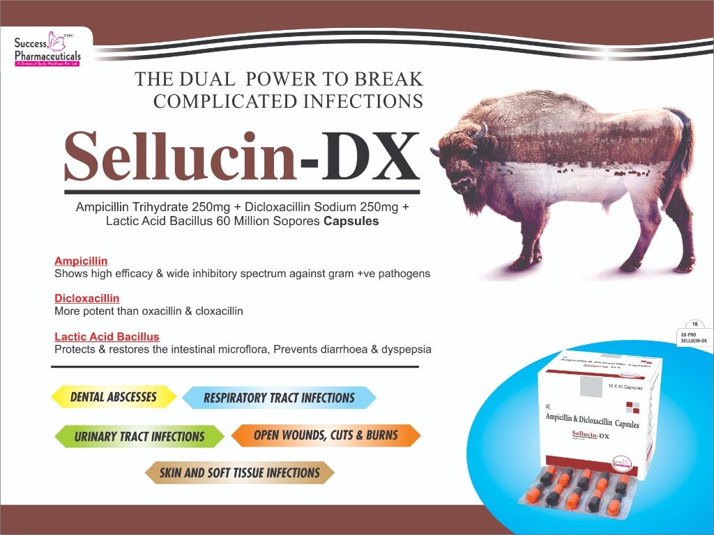 SELLUCIN- DX Visual