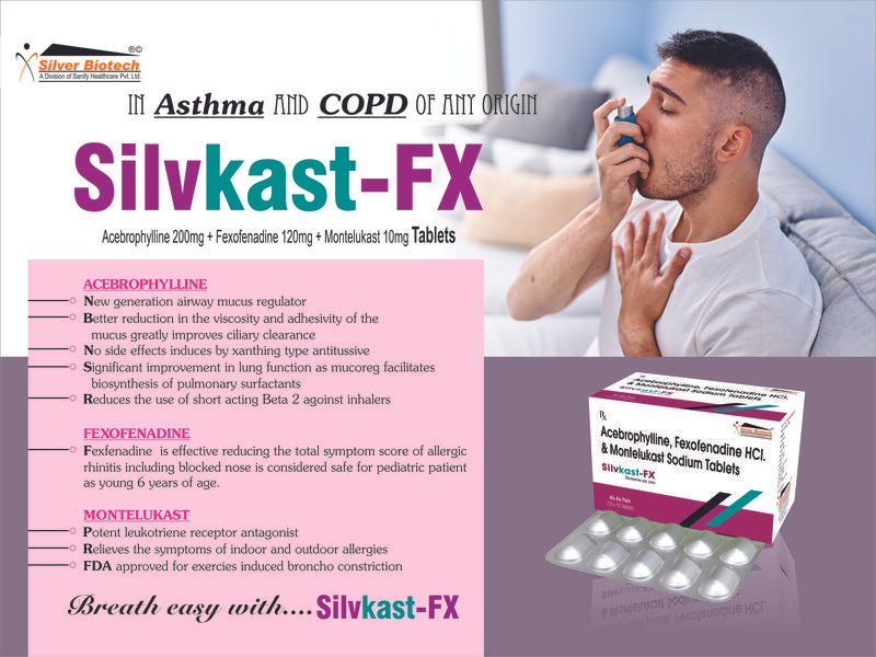Silvkast-FX Visual