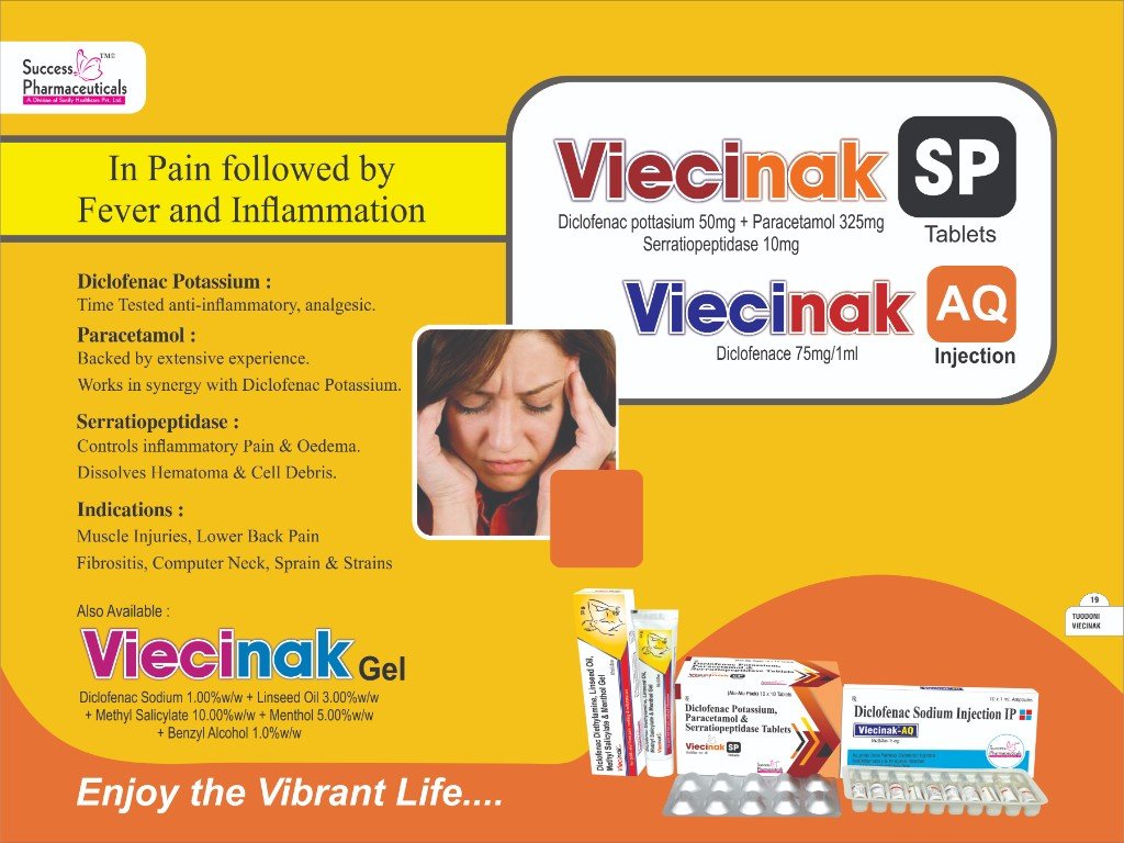VIECInak SP Visual