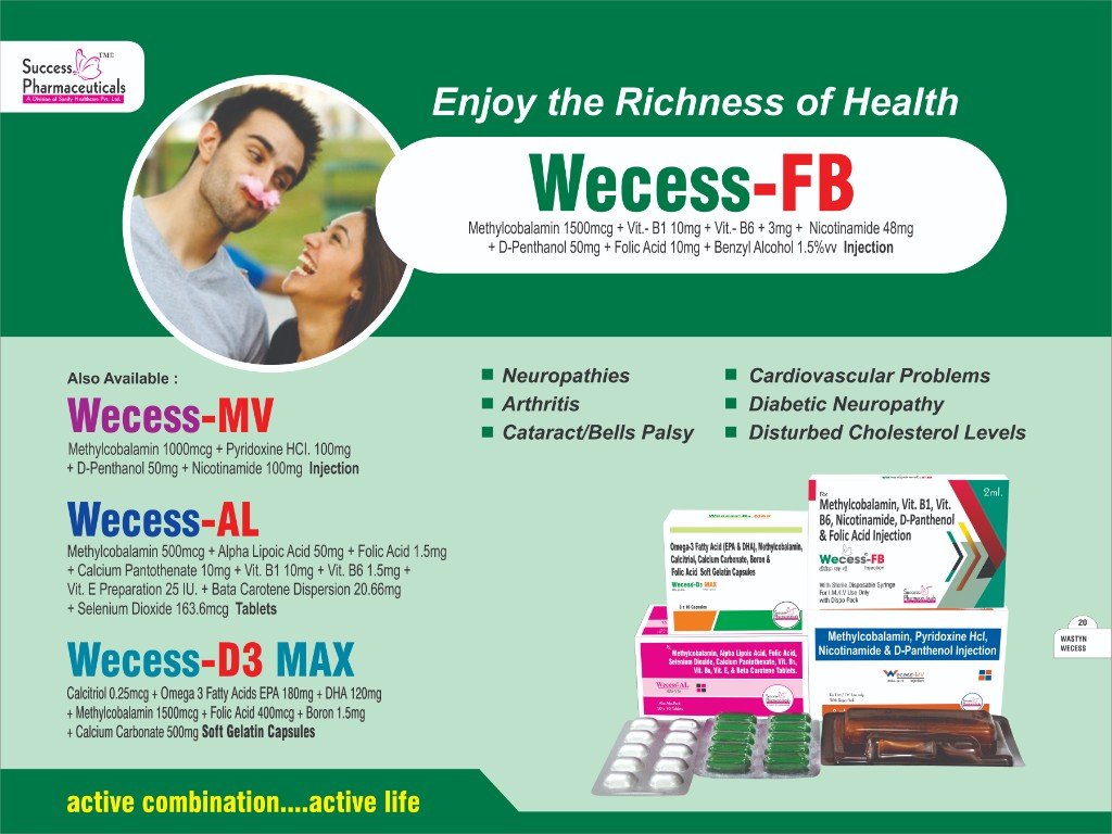 Wecess-AL Visual