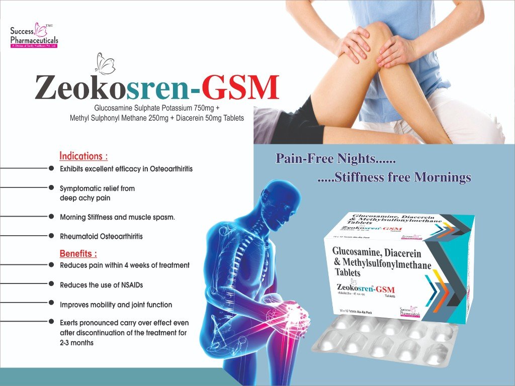 ZEOKOsren GSM Visual